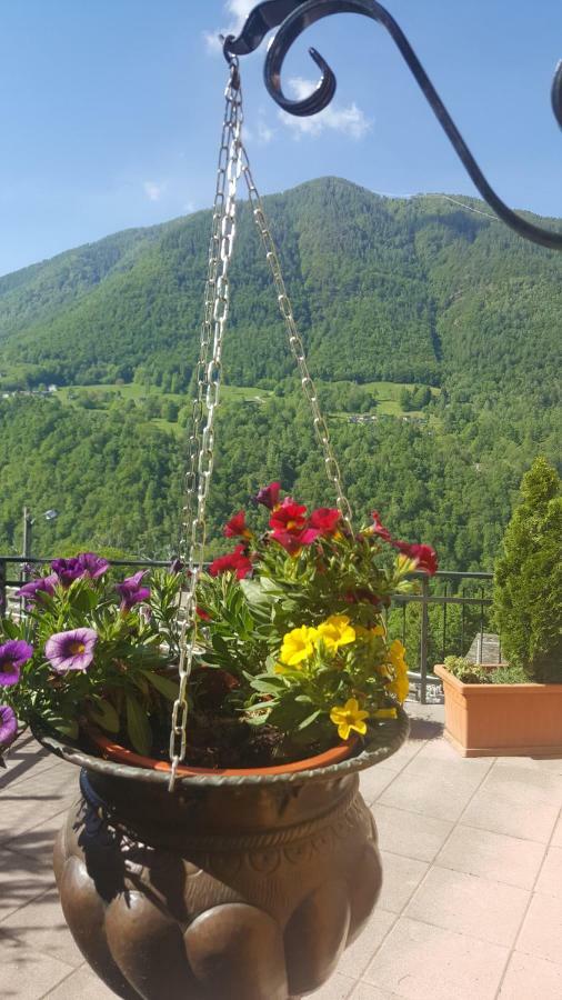 Cedarwood Bed & Breakfast Premana Luaran gambar